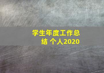 学生年度工作总结 个人2020